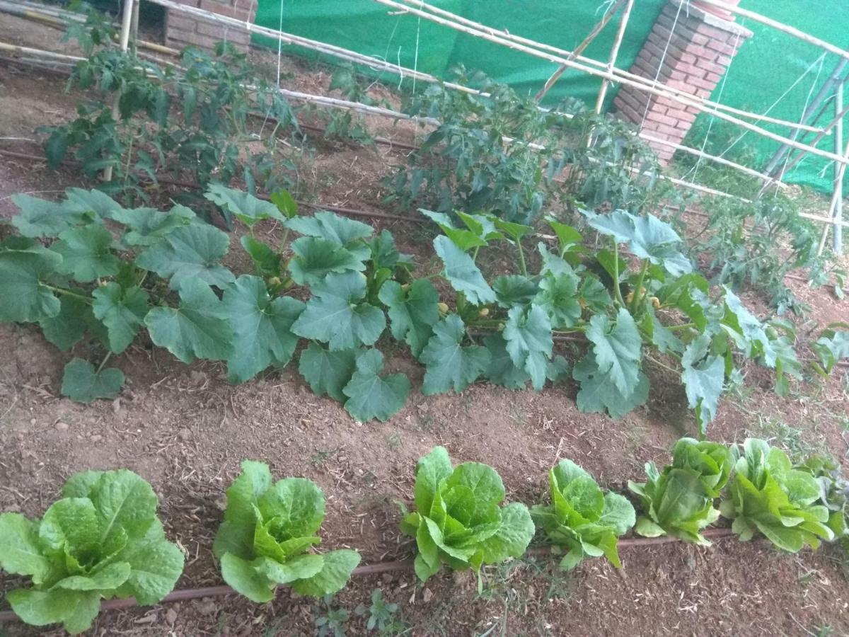 카르모나 La Casita 빌라 외부 사진